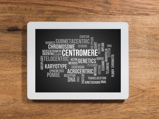 Centromere