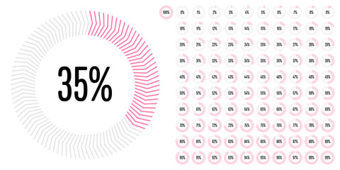 Set of circle percentage diagrams from 0 to 100 ready-to-use for web design, user interface (UI) or infographic - indicator with pink