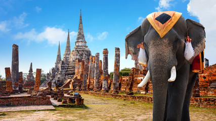 Elephant at Wat Phra Si Sanphet temple in Ayutthaya Historical Park, a UNESCO world heritage site.,...