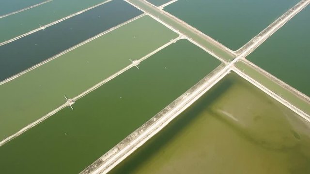 Aerial of the big fish pond