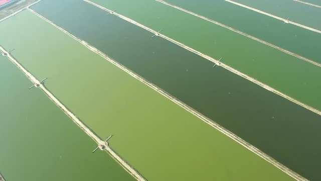 Aerial of the big fish pond