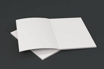 Two blank white open brochure mock-up on black background