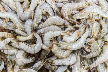 full frame, shrimp in market