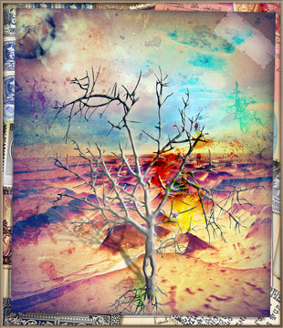 Dry tree in the arid desert, concept of solitude