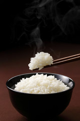 ごはん　Japanese rice