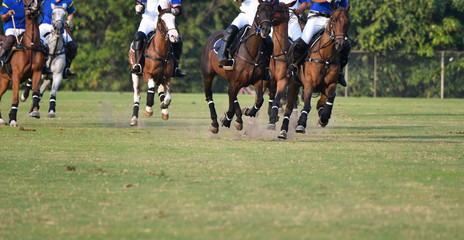 Polo players are riding