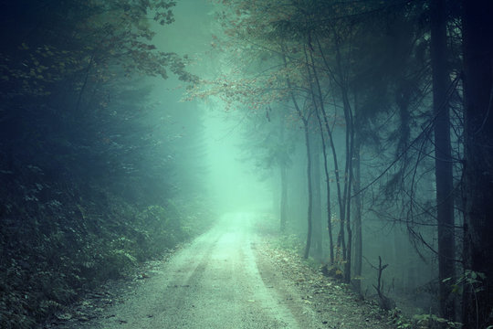 Fantasy colored foggy forest road. Scary blue green colored countryside woodland.