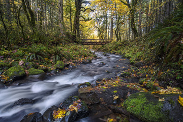 Columbia River Gorge