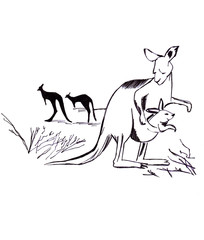 Illustration contour sketching kangaroo family: mother and son, mother and daughter