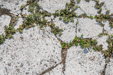 cement floor texture