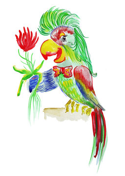 Bright exotic parrot with beautiful plumage holds in paws red flower