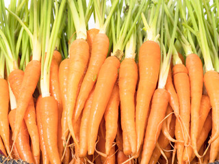 Colorful of fresh baby carrots, background