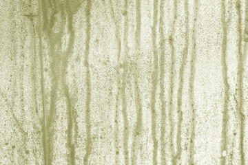 condensation drops on pvc greenhouse.