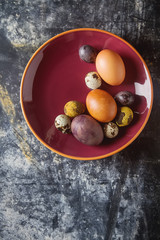 Multi-colored easter eggs. Chicken, quail. Dark background. Spring holiday.