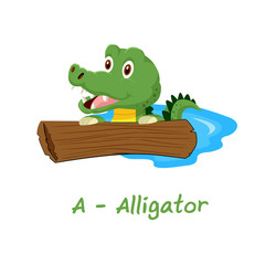 Isolated animal alphabet for the kids, A for Alligator