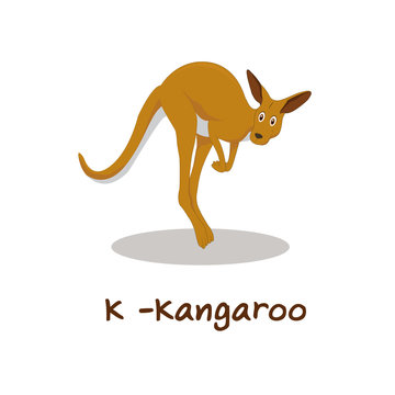 Isolated animal alphabet for the kids, K for Kangaroo