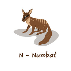 Isolated animal alphabet for the kids, N for Numbat
