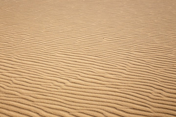 Lines in the sand of a beach, close up
