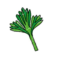 leaf icon over white background. colorful design. vector illustration