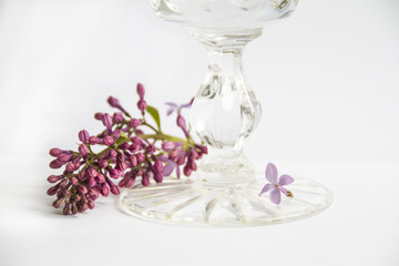crystal glass with lilac flowers on a white background