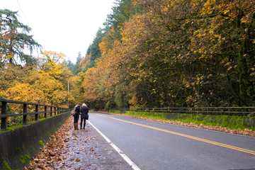 Two girls on road surrounded by autumn yellow trees