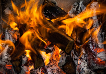 wood in fire