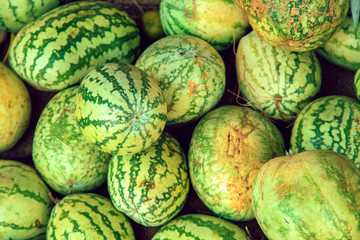 Watermelon  in  Indian market.