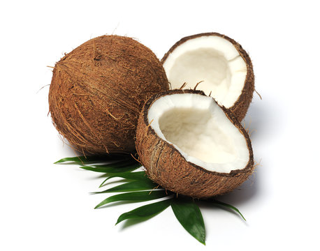 coconut close up
