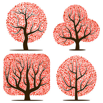 Four trees with red leaves isolated on a white background
