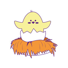 cute chicken icon over white background. colorful design. vector illustration