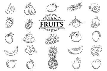 Fotobehang Vector hand drawn fruits icons set © setory