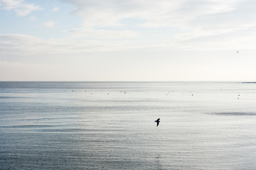 Very calm sea after the sunset