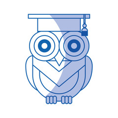 owl with hat graduation vector illustration design