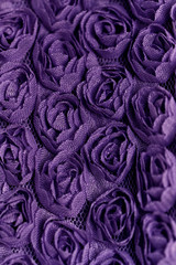 Obraz premium Purple rose background