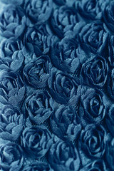 Blue rose background