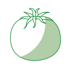 tomato fresh vegetable icon vector illustration design