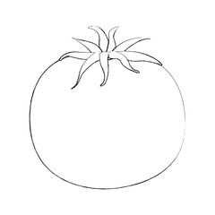 tomato fresh vegetable icon vector illustration design