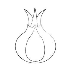 onion fresh vegetable icon vector illustration design