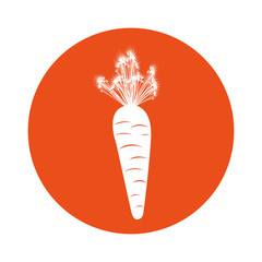 carrot fresh vegetable icon vector illustration design
