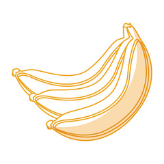 banana fresh fruit icon vector illustration design