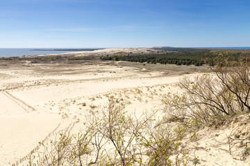 National Park Curonian Spit. Nida. Lithuania