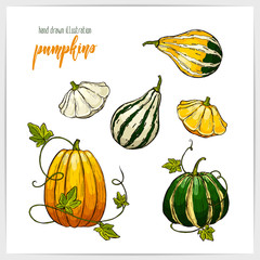 Vector illustration of hand drawn colorful pumpkins.