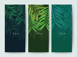 Branding Packaging palm coconut bamboo tree leaf nature background, logo banner voucher, spring summer tropical, vector illustration - obrazy, fototapety, plakaty
