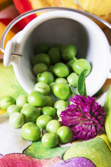 Bucket of peas on colorful tablecloth