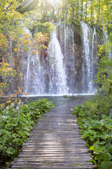 Naklejka premium waterfall at 