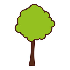 tree plant isolated icon vector illustration design