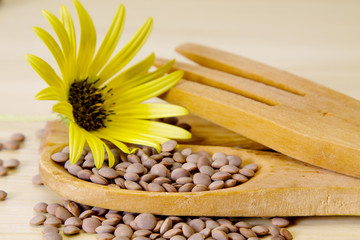 Wooden spoon with lentils on the table