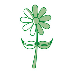 cute sunflower isolated icon vector illustration design