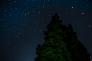 Naklejka premium Universo