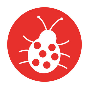 cute ladybug isolated icon vector illustration design